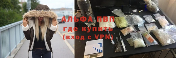 спайс Баксан