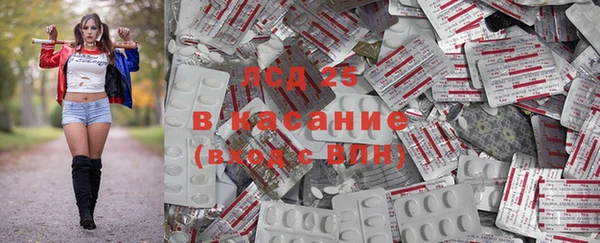спайс Баксан