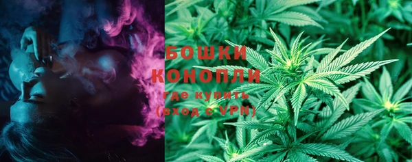 спайс Баксан