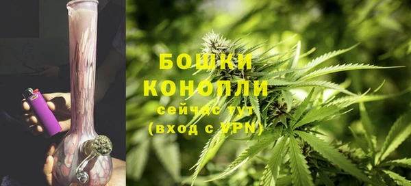 ПСИЛОЦИБИНОВЫЕ ГРИБЫ Балабаново