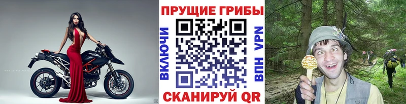 Псилоцибиновые грибы MAGIC MUSHROOMS Покров